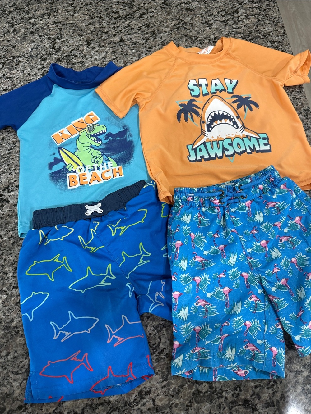 2 Swim trunks and 2 Rash guards gently used size 4T